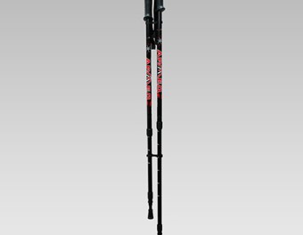 Палки для скандинавской ходьбы Armed STC033